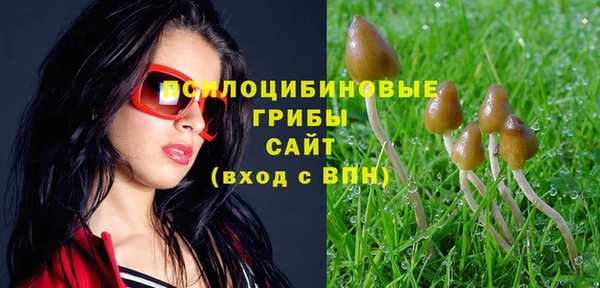мяу мяу мука Алексеевка