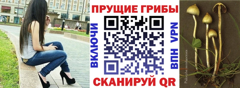 Галлюциногенные грибы мухоморы  Жиздра 