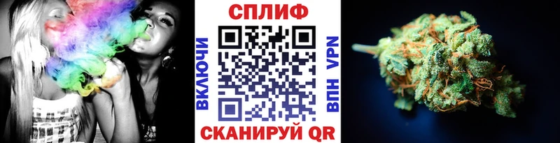как найти наркотики  Жиздра  Каннабис гибрид 